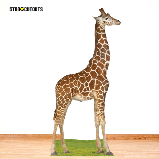 SC4568 Giraffe Cardboard Cut Out Height 196cm
