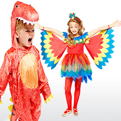 Fancy Dress