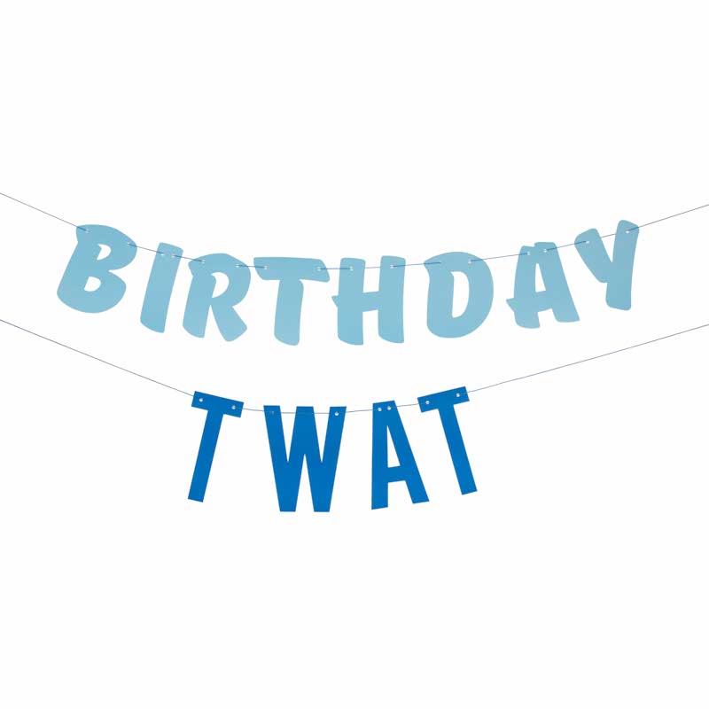 Blue Birthday Twat Paper Banner - 1.5m