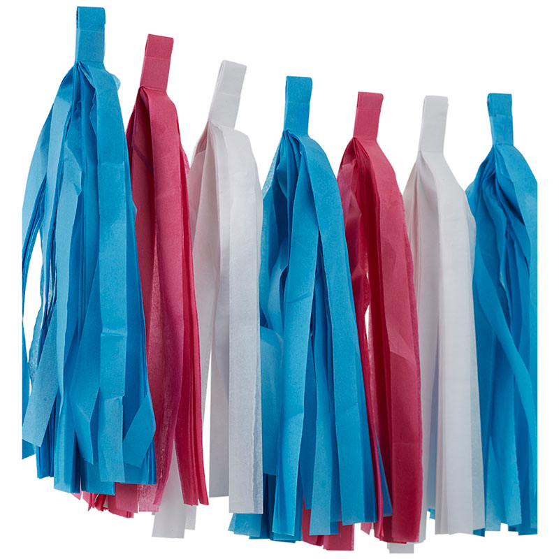 Gender Reveal Paper Tassel Garland - 2.5m