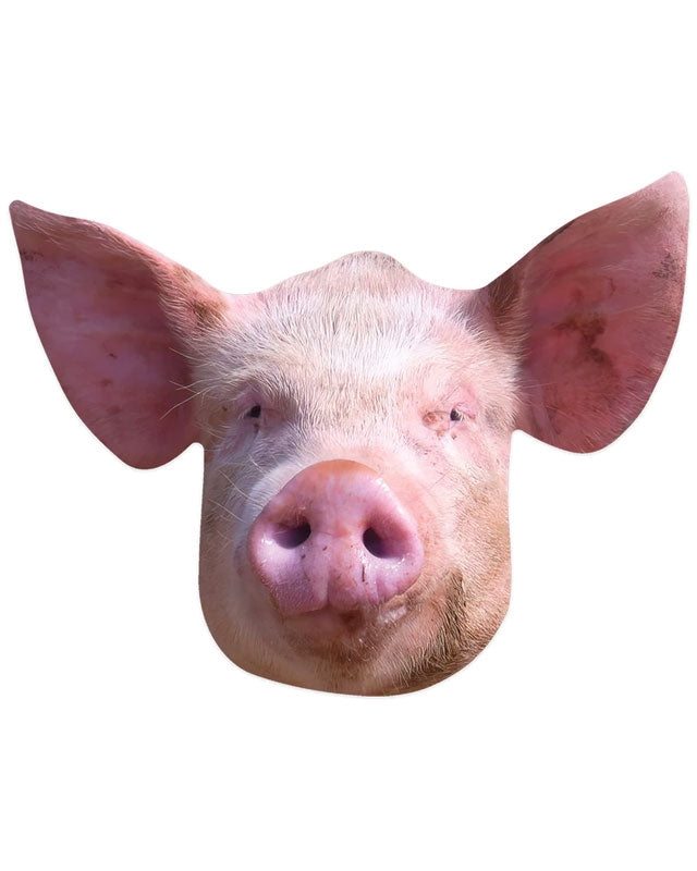 Pig Cardboard Mask