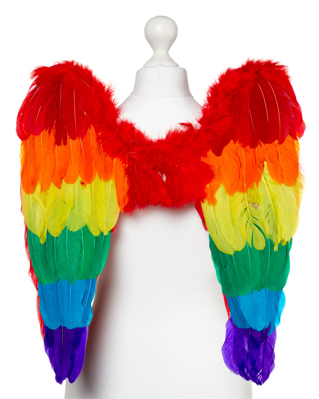 Rainbow Angel Wings - 50cm x 50cm – product image 1