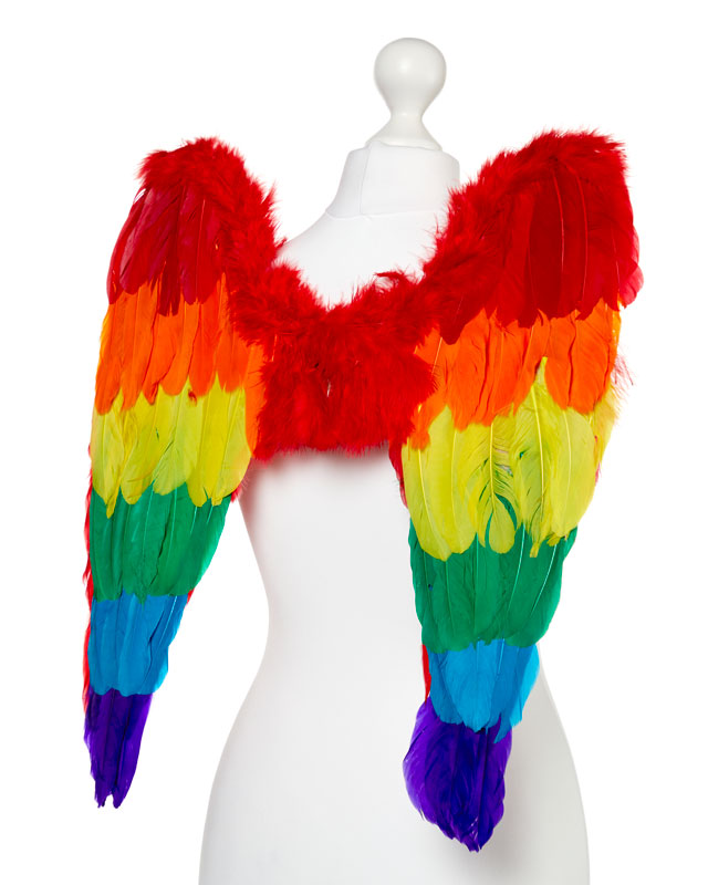 Rainbow Angel Wings - 50cm x 50cm – product image 2
