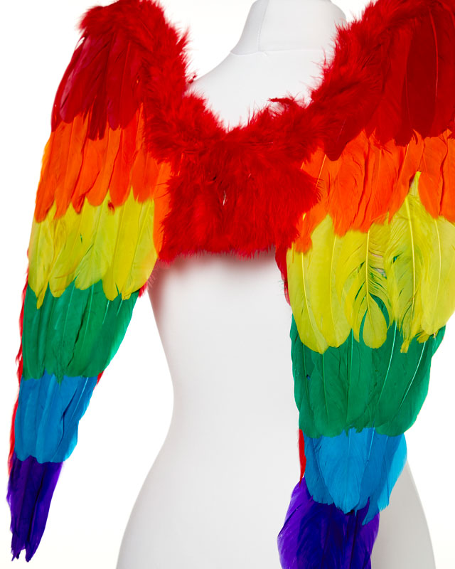 Rainbow Angel Wings - 50cm x 50cm – product image 4