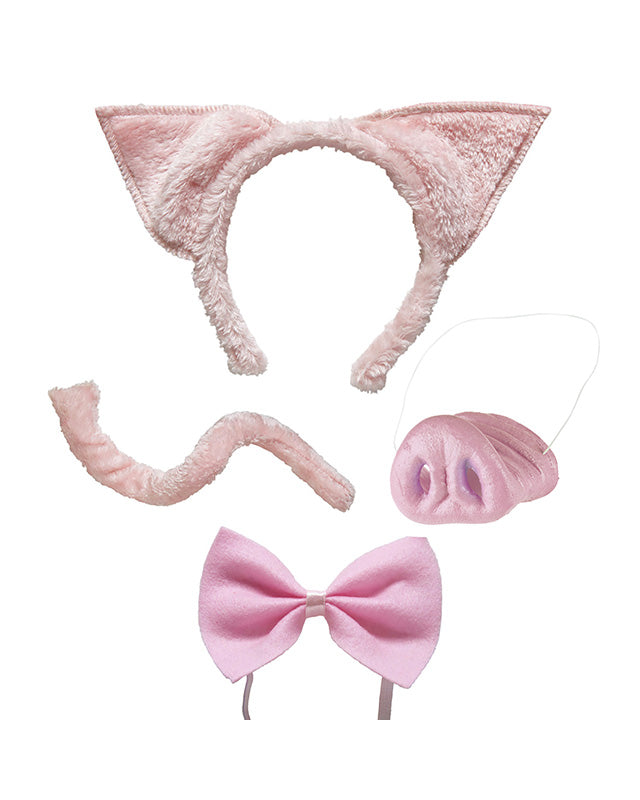 Pig Accessory Kit