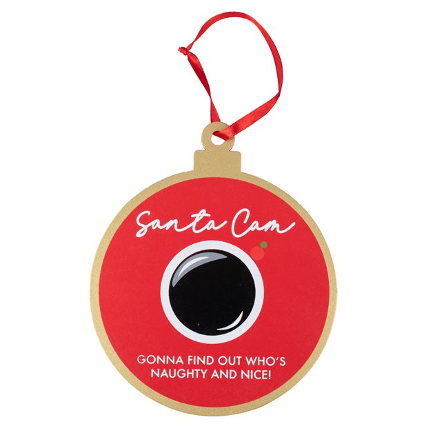 Wooden Santa Cam Decoration - 17cm – product image 2