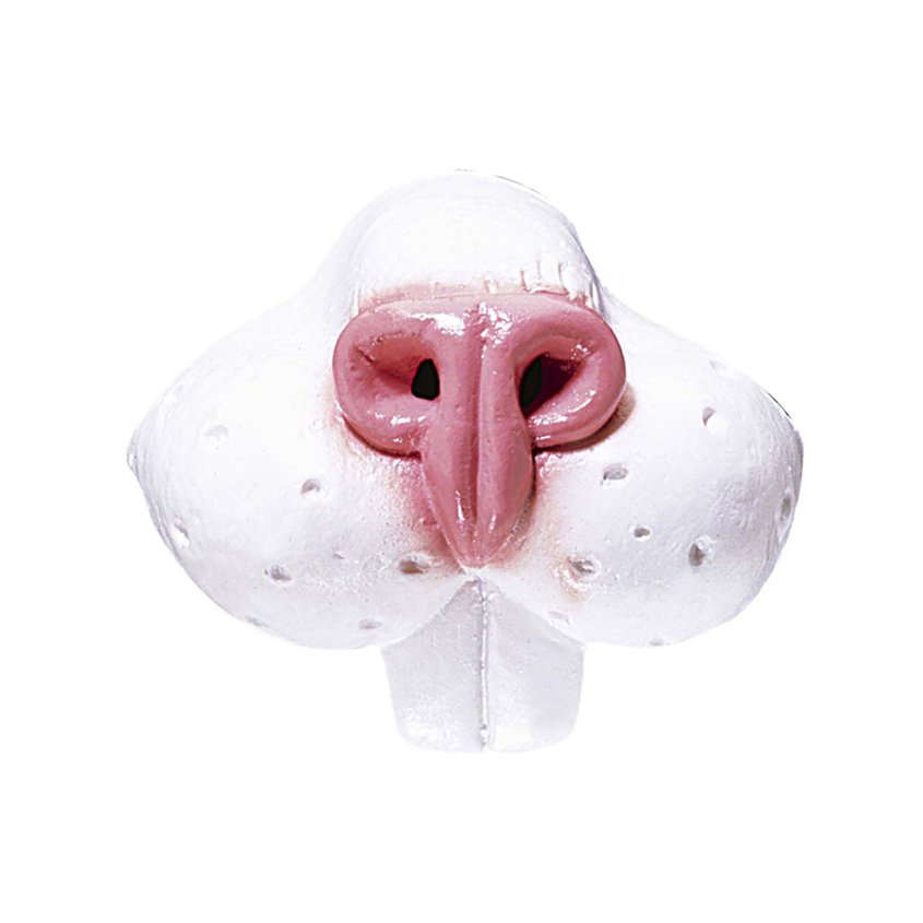 Rabbit Nose – product image 1