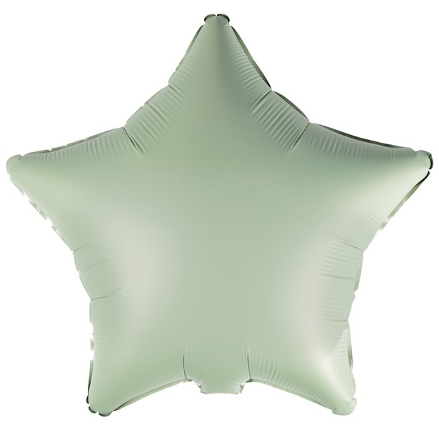 Silk Lustre Eucalyptus Star Foil Unpackaged - 18"