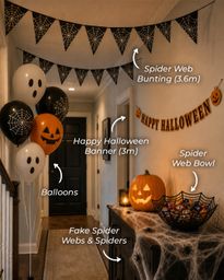 Halloween Spider Party in a box (48pk)