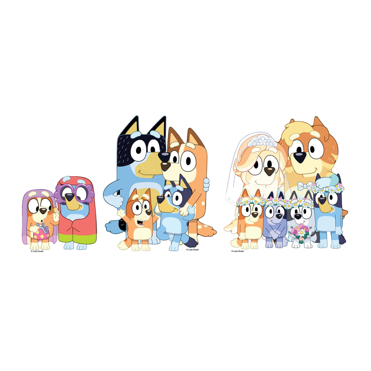 SC4766 Bluey & Bingo, Grannies, Heeler Family & Bluey Family Wedding Shelf Top Pack Cardboard Cutouts Height 21cm – product image 3