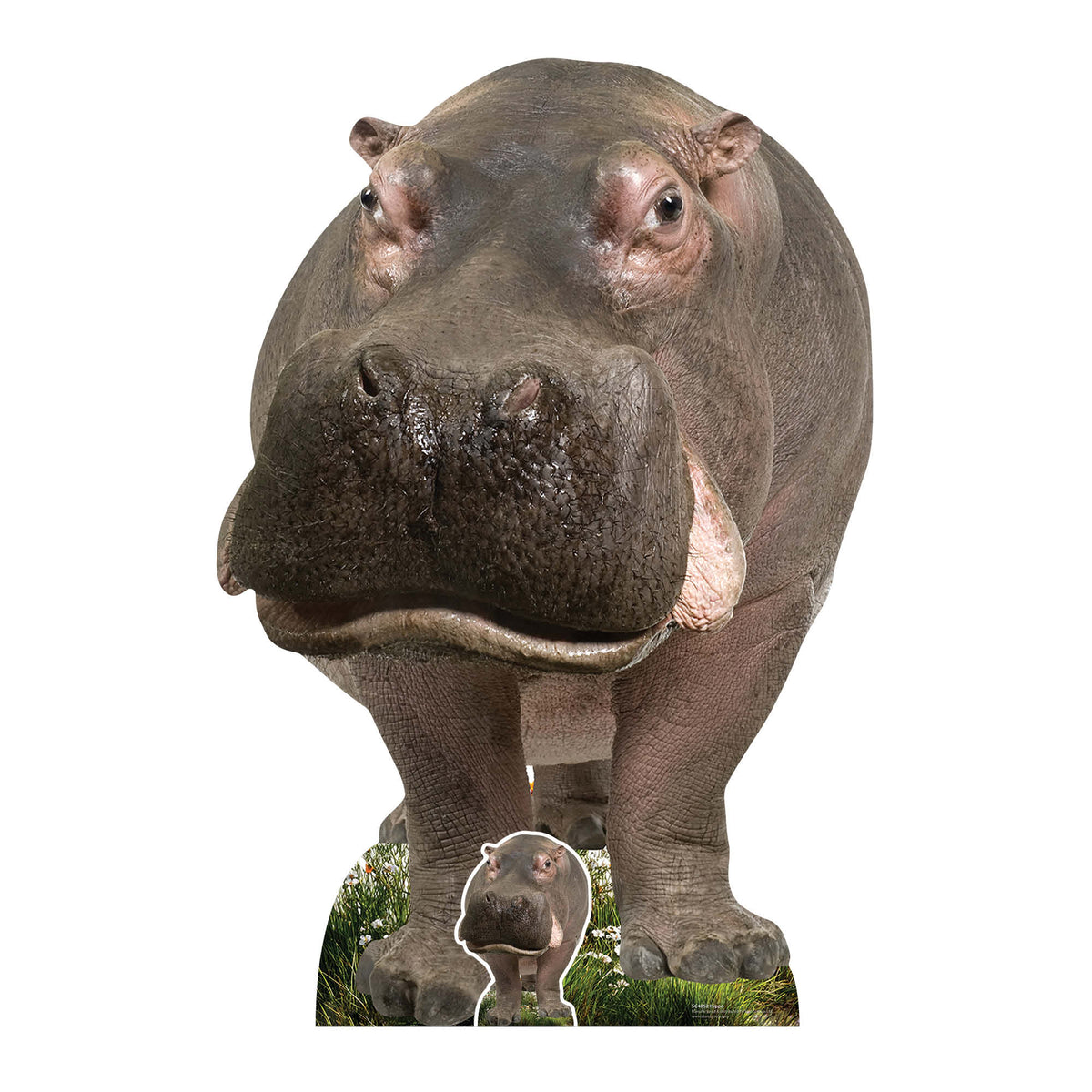 SC4852 Young Hippo Cardboard Cutout Height 133cm