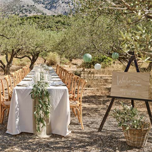 Sage wedding supplies arranged in a styled party setting.