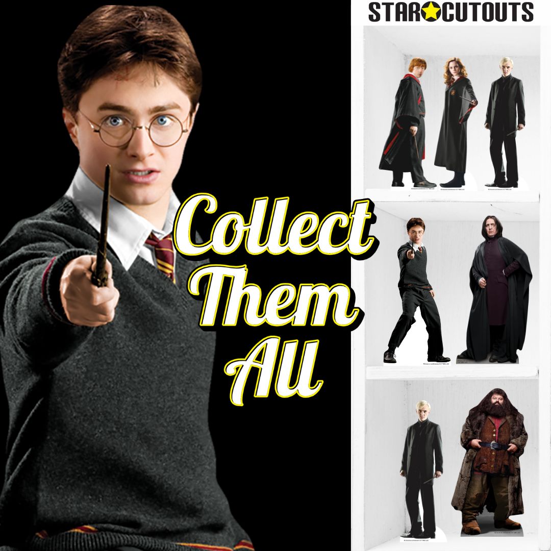 SC4739 Harry Potter, Hermione Granger & Ron Weasley Shelf Top Pack Cardboard Cutouts Height 31cm – product image 5