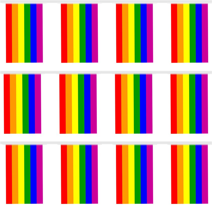 Pride Flag Bunting - 7m – product image 2