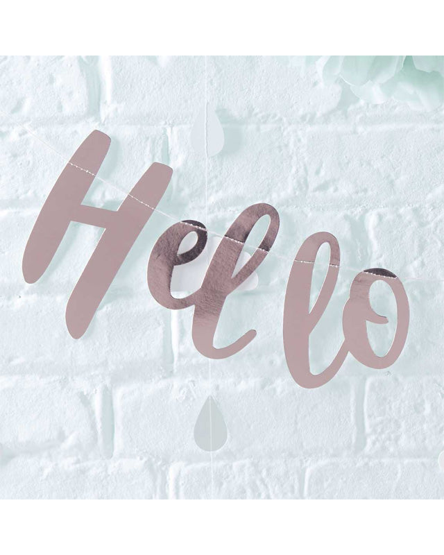 Hello World Rose Gold Letter Bunting - 2m – product image 2
