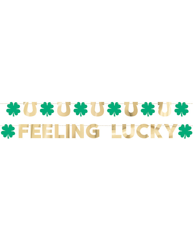 Shamrock Foil Garland - 2.7m (2pk)